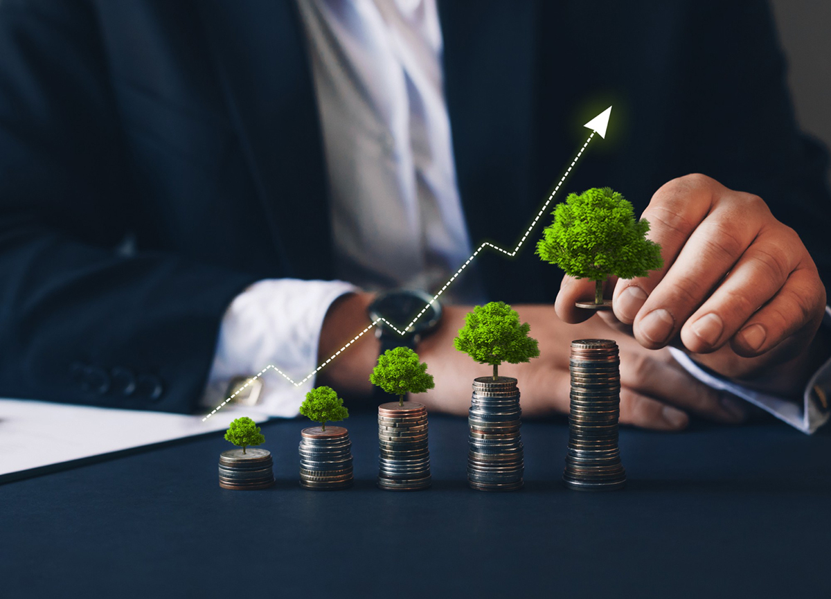 Business Investment